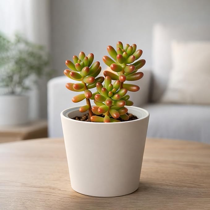 Phoenix Vine 4.5 Inch Oatmeal Plastic Cachepot with Clear Nursery Pot, Decorative Lightweight Planter Cover with Transparent Inner Pot for Indoor Houseplants, Pack of 2, 24-B-G-2