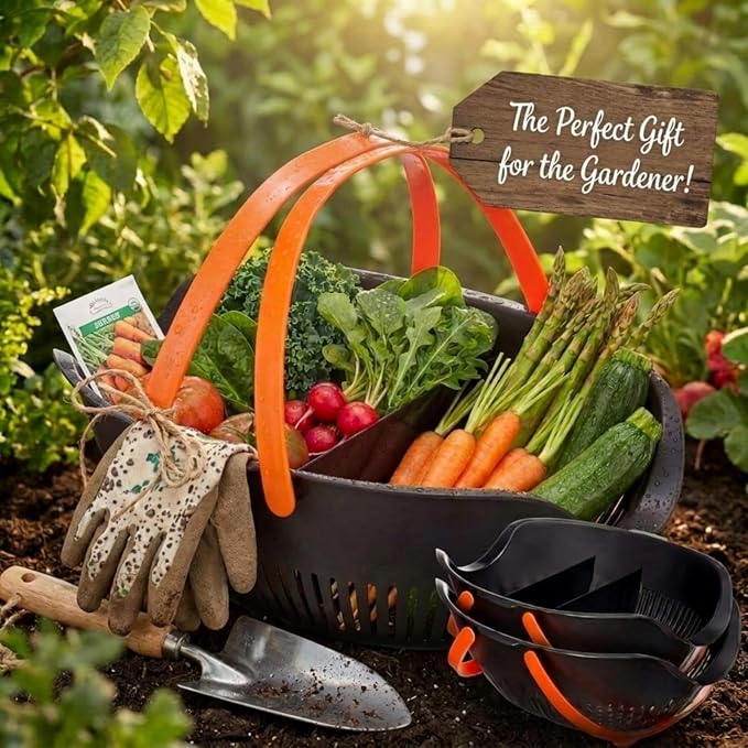 Nuogo 3 Pcs Garden Harvest Basket, Removable Partitions with Tool Caddy for Collecting, Carrying, and Cleaning Harvesting Basket Doubles as a Colander for Vegetables and Fruits Garden Accessories