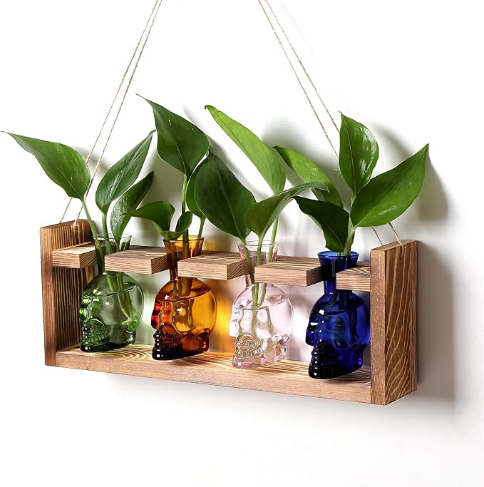 Plant Propagation Stations Halloween Skull Plant Terrarium Kit | Glass Vases Gift for Father Air Planter Home Office Decor