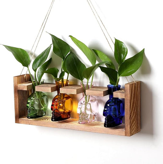 Plant Propagation Stations Halloween Skull Plant Terrarium Kit | Glass Vases Gift for Father Air Planter Home Office Decor