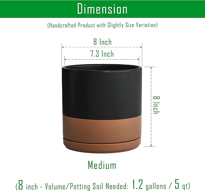 D'vine Dev 8 Inch Ceramic Planter Pot with Drainage Hole and Saucer, Indoor Cylinder Round Planter Pot, Black/Speckled Tan, 94-O-D-7