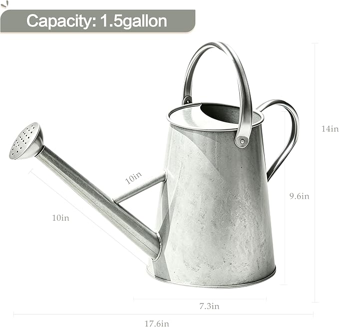 Metal Watering Can with Stainless Steel Handle for Outdoor and Indoor Plants, Watering Can Decor, 1.5 Gallon (Zinc)