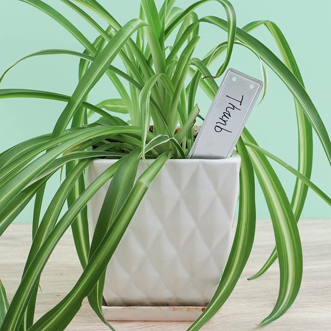 200 Aluminum Plant Tags with 200 Metal Wires - Double Sided Write On Metal Labels - Solid Stamping Tags - Waterproof Outdoor Plant Markers for Trees, Greenhouses