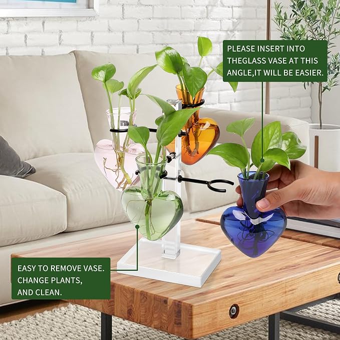 Plants Propagation Stations Plant Terrarium Kit Gift for Women | Birthday Glass Planters For Indoor Plants Home Office Decor Acrylic Plant Accessories - 4 Love Hear Vase