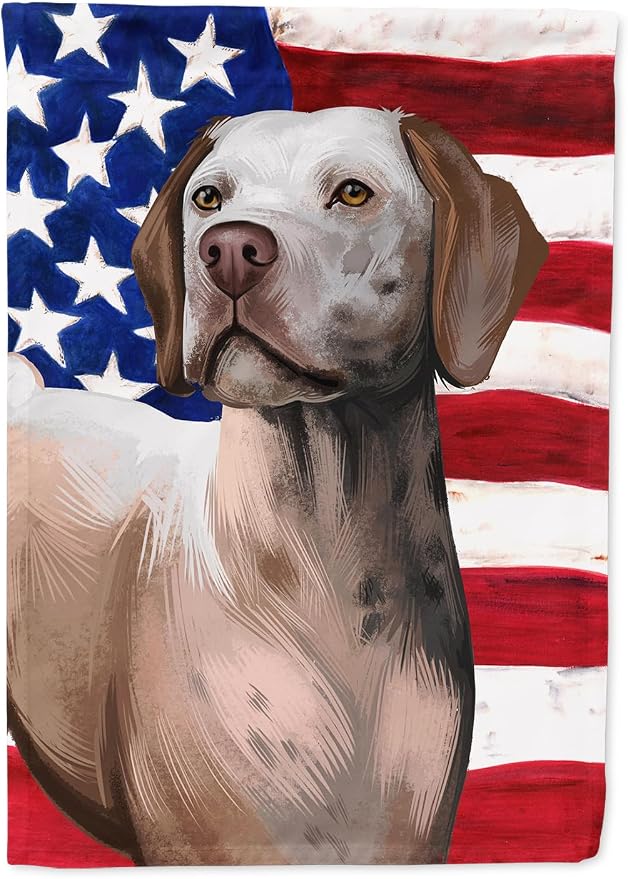 Caroline's Treasures CK6458CHF Braque du Bourbonnais American Flag House Flag Large Porch Sleeve Pole Decorative Outside Yard Banner Artwork Wall Hanging, Polyester, House Size, Multicolor