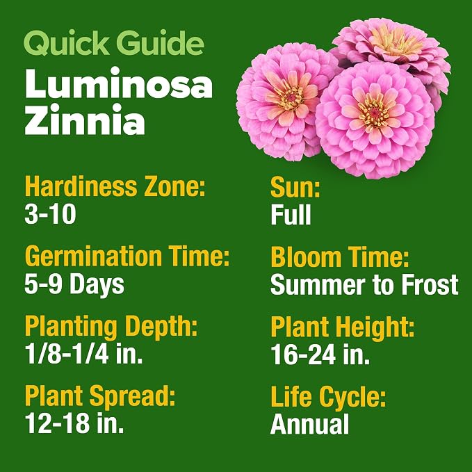 HOME GROWN Pink Zinnia Seeds – 4,500 Luminosa Zinnias, Easy to Grow Annual Flower Seeds for Planting Outdoors for 2026, Fast Blooming, Heat Tolerant Herb Seed Garden Companion (Zinnia elegans)