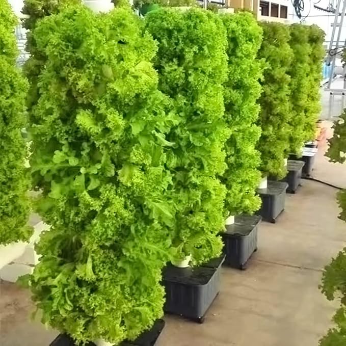 DIY Balcony Hydroponic Growing System Detachable PP Colonization Cups Home Garden Farm Greenhouse Vertical Tower Planters (Color : 30holes)