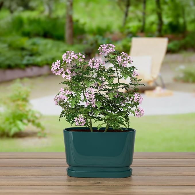13" Rectangular Ceramic Planter with Drainage and Saucer, Green | Indoor Outdoor Use, 13"L x 5.5"W x 6.3"H, Modern Home Decor, Window Box Planter, Green Glossy Finish