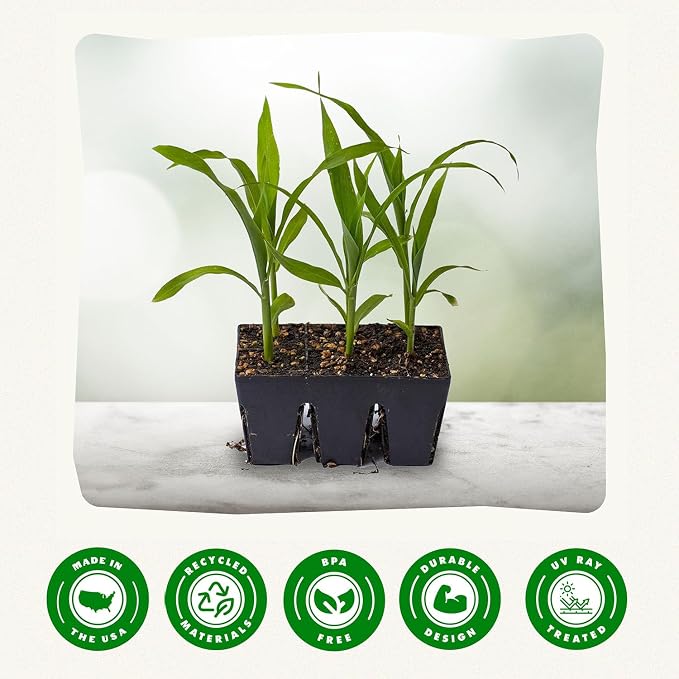 Epic Gardening Reusable Seed Starter Tray - 6 Cell/12 Seedling Starter Trays - Easy Watering, Indoor Greenhouse, Plant Starter, Gardener-Friendly for Seedlings | UV-Treated & BPA-Free - Black