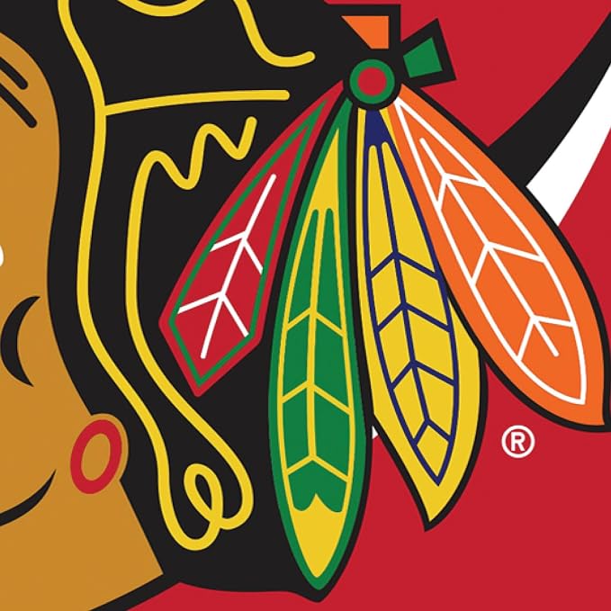 NHL Chicago Blackhawks House Flag, 28 x 44, Double Sided Garden Flags for Outside, Outdoor Flags & Banners for Gardens Patio, Indoor Wall Decor Flag for Room
