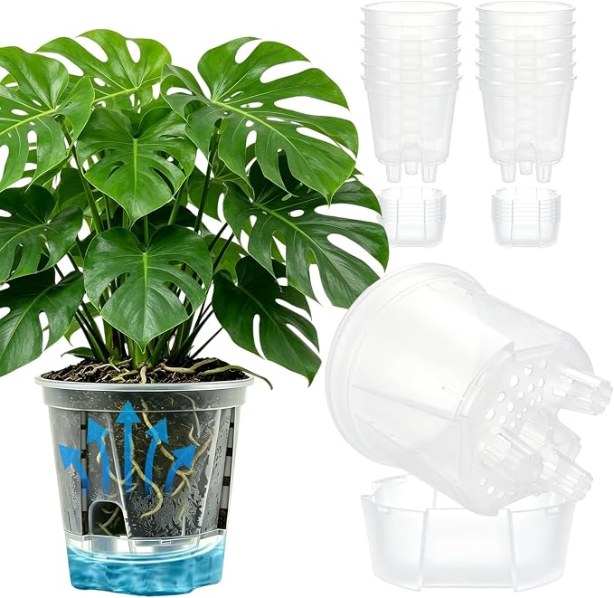 Cdd's Path 6 Inch Clear Self Watering Pots Set, 12 Pack Naked Root Planter with Deep Water Tank, Large Drainage Holes, Reservoir & Air Pipes for Indoor Outdoor Plants, Flowers, Seedlings