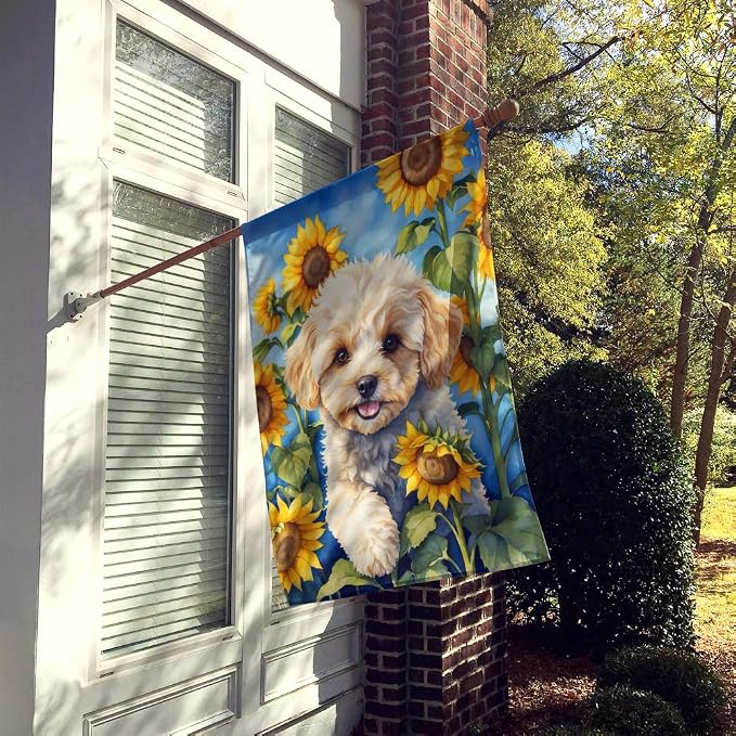 Caroline's Treasures DAC6118CHF Maltipoo in Sunflowers House Flag Large Porch Sleeve Pole Decorative Outside Yard Banner Artwork Wall Hanging, Polyester, House Size, Multicolor