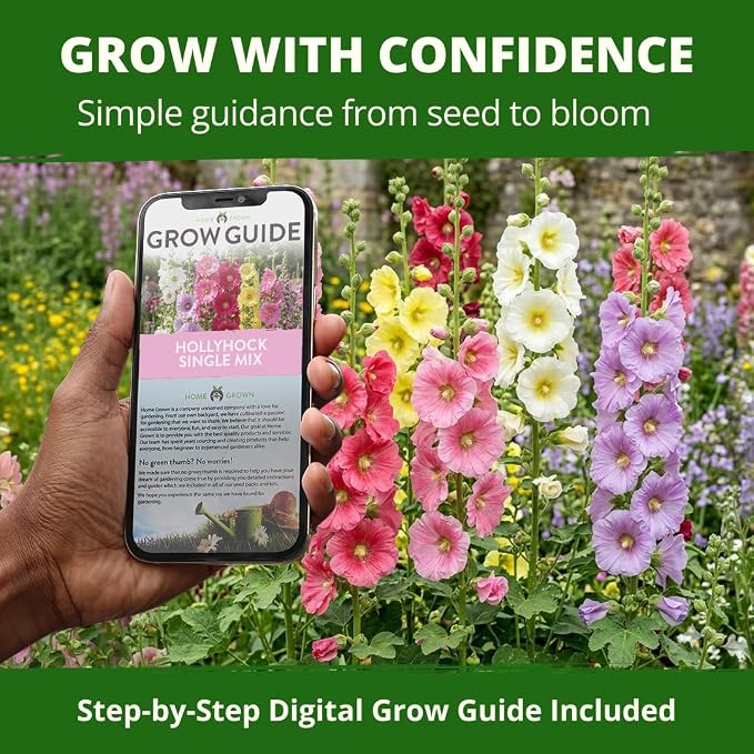 HOME GROWN Hollyhock Single Mix Planting Seeds 2026 – 29g/1oz (3000 Seeds) | Open-Pollinated Flower Seed | Heirloom Non-GMO | Deer Resistant | Self-Seeding | Zones 3–9