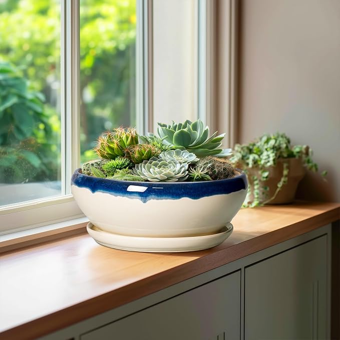 SQOWL Bonsai Pots, 10 Inch Ceramic Pots for Succulents, Blue-Beige | Shallow Planter with Drainage Hole and Saucer, Round Succulent Planters Bowl, Kitchen Decor, Housewarming Gifts