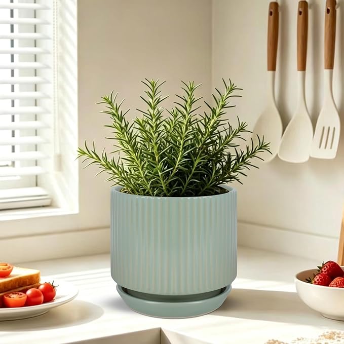 Ceramic-Flower-Pots-Sets-with-Saucer, 5/6/8 inch Small Planters for Indoor Plants with Drainage Hole, White Vertical Stripe Plant Pots for Home Decor, Outdoor Garden Pot For Succulent Cactus Herb