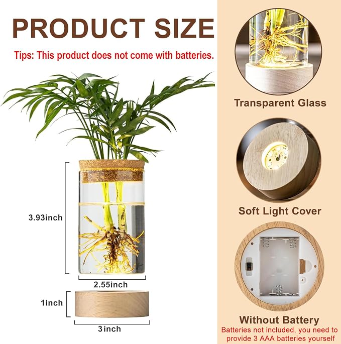 Glass Plant Propagation Stations, Propagation Vases for Plants with Ambient Light Base, Hydroponic Vase for Home & Office Windowsill Tabletop Decoration Desktop Vases for Living Room, Bedroom (2)