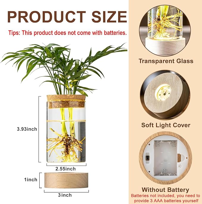 Glass Plant Propagation Stations, Propagation Vases for Plants with Ambient Light Base, Hydroponic Vase for Home & Office Windowsill Tabletop Decoration Desktop Vases for Living Room, Bedroom (6)
