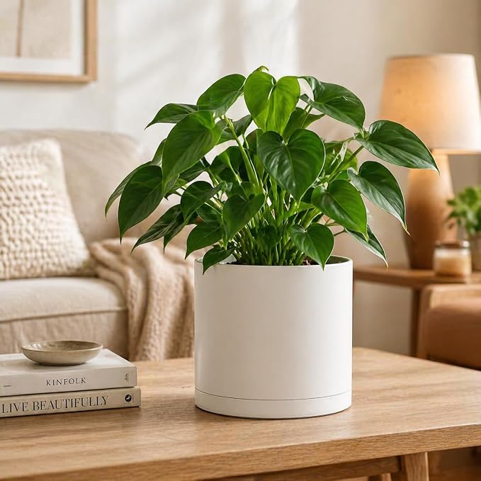 Giraffe Creation 12 Inch Cylinder Plant Pot, Modern Round Planter with Drainage Holes and Saucer, Durable Plastic Flower Pot for Indoor Outdoor Plants, White