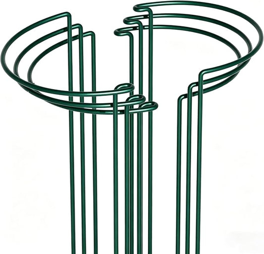 6 Pack Peony Cages and Supports, 10" (W) x 24"(H) Plant Support, Rust-Proof Metal Plant Support Stakes for Outdoor&Indoor Plants