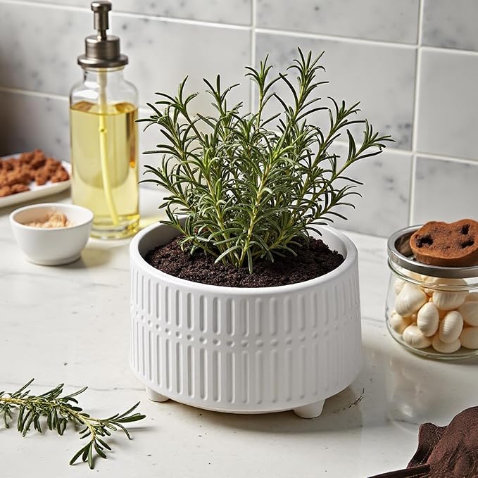 OXART Ceramic Plant Pots Indoor Pot Set with Drainage Holes, 12/9.6/8/inch Ceramic Planters Pots for Plants, Large Flower Pot for Plants Lilies, Cacti, Succulents, Snakes, and Pothos, White