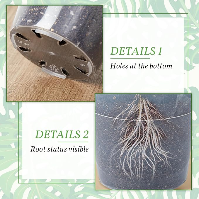 Vesici 12 Pcs 8/10/12 Inch Large Thickened Clear Nursery Pots Variety Pack Plant Pots with Drainage Holes Planters for Indoor Plants Flexible Transparent Plastic Plant Bottle Succulents