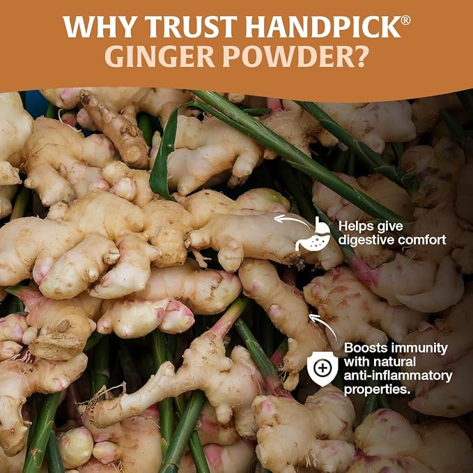 HANDPICK Ginger Powder (14oz/397g) No Additives, No Preservatives, No Fillers | Ginger Root Powder from India | Raw, Gluten Free, Non GMO | Perfect for Cooking | Resealable Pack (Packaging may vary)