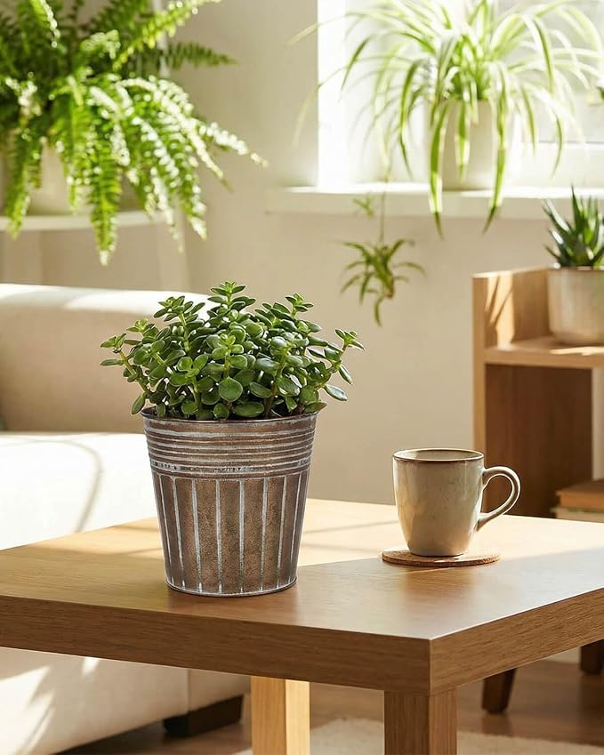 vensovo 5 Inch Galvanized Bucket Planter - 6 Pack Metal Flower Pots with Drainage Holes & Plugs, Rustic Bronze Tin Pots for Indoor Herbs, Outdoor Succulents, Farmhouse Home Garden Decor