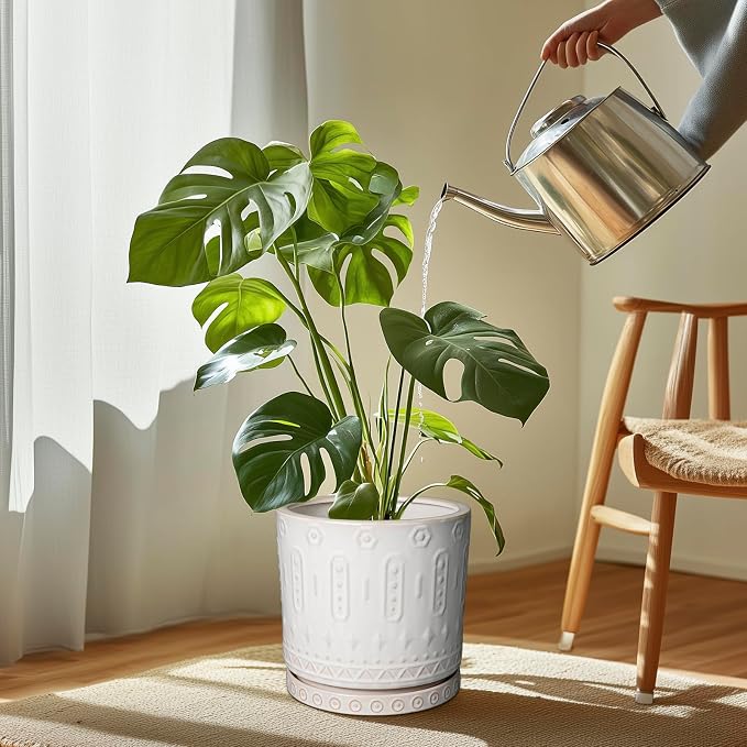 Eightpot Plant Drip Tray - Ceramic Plant Saucer for Outdoors 9.3 Inch Plant Tray for Indoors No Holes Plant Pot Saucer Plant Dishes to Catch Water Round Plant Drainage Trays, Cream White