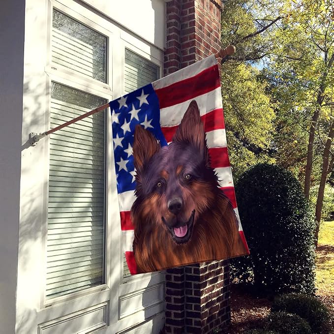 Caroline's Treasures CK6445CHF Bohemian Shepherd American Flag House Flag Large Porch Sleeve Pole Decorative Outside Yard Banner Artwork Wall Hanging, Polyester, House Size, Multicolor