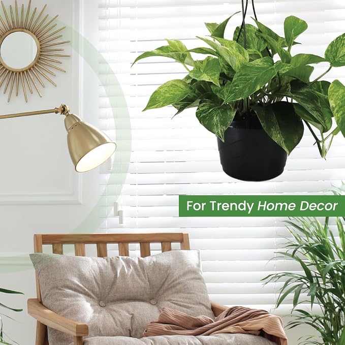 American Plant Exchange Marble Queen Pothos – Live 8-Inch Hanging Basket, Easy-Care Air Purifying Trailing Vine, Fast-Growing Houseplant for Hanging Planters, Shelves & Indoor Home or Office Décor