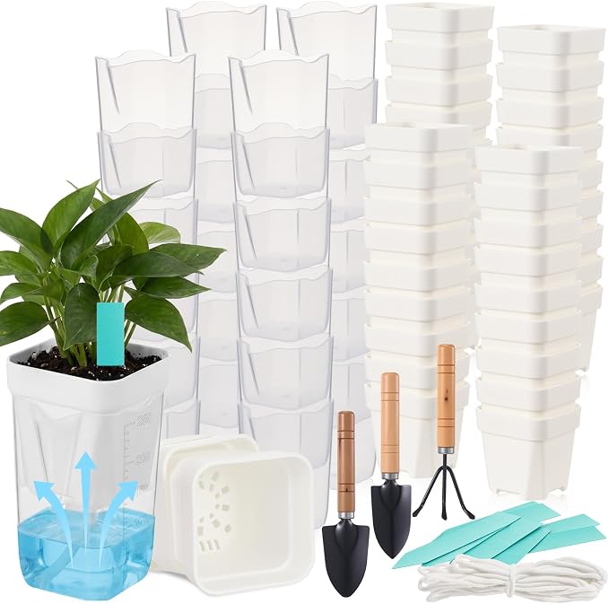 30 Pack 2.5" Small Self Watering Pots for Indoor Plants Clear Mini Self Watering Plant Pot with Water Level, Drainage Holes 30 Plastic Label 3 Planting Tools, Rope for Propagation Succulents