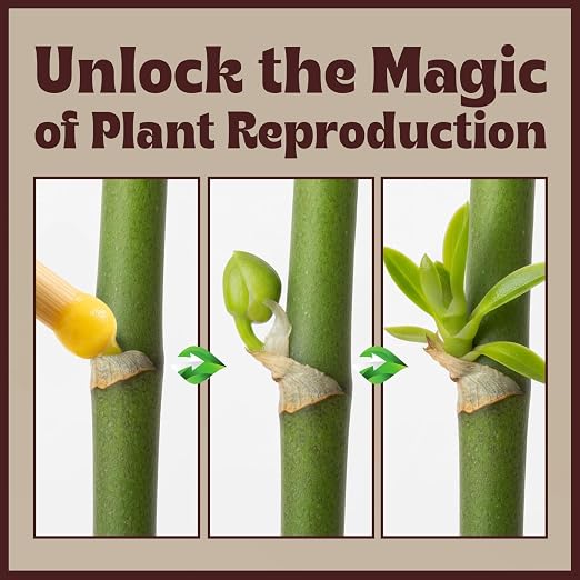 Keiki Paste for Plants to Clone & Create New Growth — 2X The Paste Cloning Gel for Orchids & Houseplants, Rooting Hormone Paste for Cuttings, Plant Propagation Gel, Nutrient Rich Growth Gel, 0.5 oz