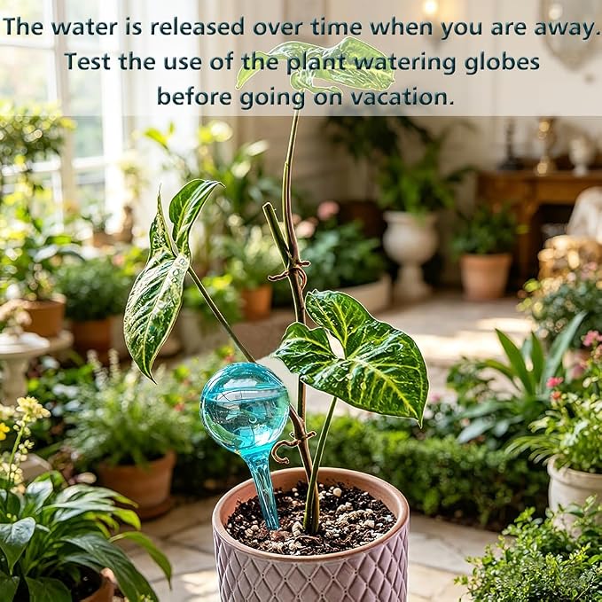 Plant Self Watering Globe, Small 6pcs Plant Watering Stakes Automatic Plant Watering Bulb System Spikes, Flower Automatic Watering Device, Garden Self Waterer for Indoor Outdoor Plant