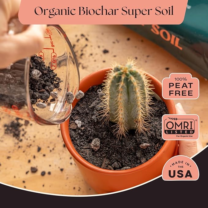 Rosy Soil Cactus & Succulent Potting Mix, 4 Quarts | Organic Succulent Potting Soil, Chunky Fast Draining, Peat-Free, Root Boosting Mix, for AloeVera, Cacti, Indoor Succulents