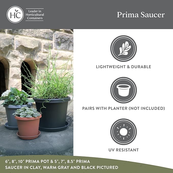 The HC Companies Round Prima Flower Pot Saucers - Plastic Plant Saucer for Outdoors & Indoors - Traditional Plant Pot Trays for Water Drainage -Durable Plant Tray (8.5-inch Marsala, Pack of 1)