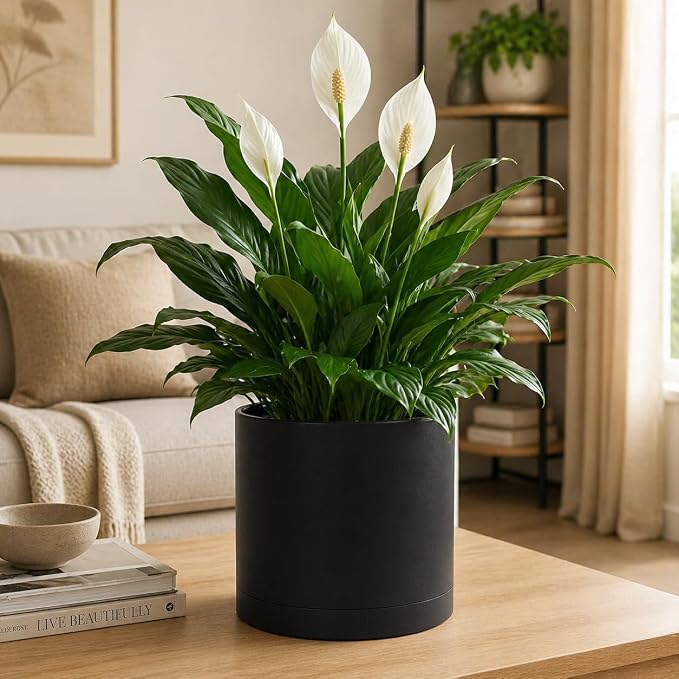 Giraffe Creation 12 Inch Cylinder Plant Pot, Modern Round Planter with Drainage Holes and Saucer, Lightweight Plastic Flower Pot for Indoor Outdoor Plants, Black