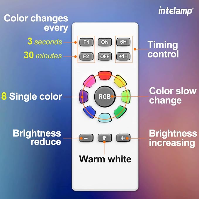 intelamp Solar Pathway Lights Outdoor, 6 Pack 9 Color Changing with Remote Control, Dusk to Dawn Solar Powered Waterproof LED Ground Lighting for House Outside Lawn Garden Yard Patio