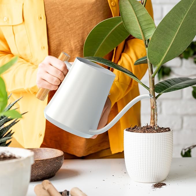 Green Moon 1L/35oz Metal Watering Can Indoor with Long Spout, White | Metal Stainless Steel Watering Can with Wood Handle for Indoor Plants, House Bonsai, Succulents, and Outdoor Garden Flowers