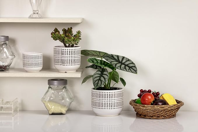 Docrin 3-Pack Ceramic Plant pots Set - 6.5"+5.3"+4" Dual-Tone Flower Pots with Drainage Holes, Modern Indoor Outdoor Planters for Succulents/Herbs/Large Plants, Home Office (Brownish Black & White)