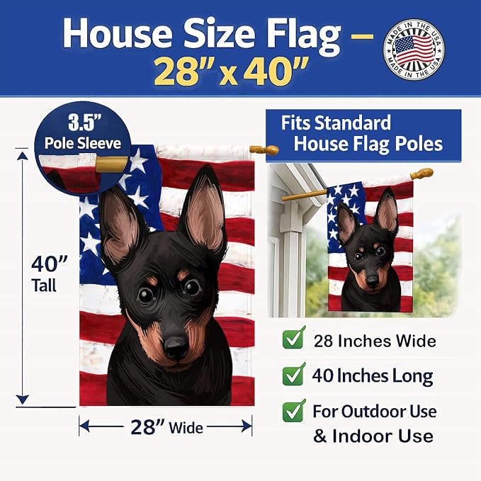 Caroline's Treasures CK6603CHF Lancashire Heeler American Flag House Flag Large Porch Sleeve Pole Decorative Outside Yard Banner Artwork Wall Hanging, Polyester, House Size, Multicolor