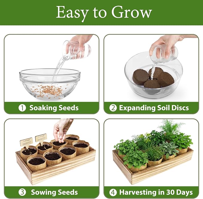 LUOJIBIE Herb Garden Kit Indoor, Herb Growing Kit with Seeds & Tools | Birthday Gifts for Women Men Mom Dad Girls Boys, House Warming Gifts New Home, Anniversary Wedding Gifts, Kitchen Décor