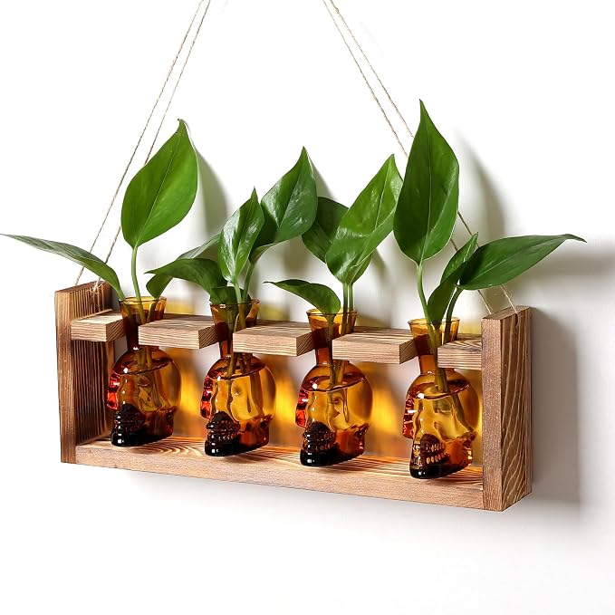 Plant Propagation Stations Halloween Skull Plant Terrarium Kit | Glass Vases Gift for Father Air Planter Home Office Decor