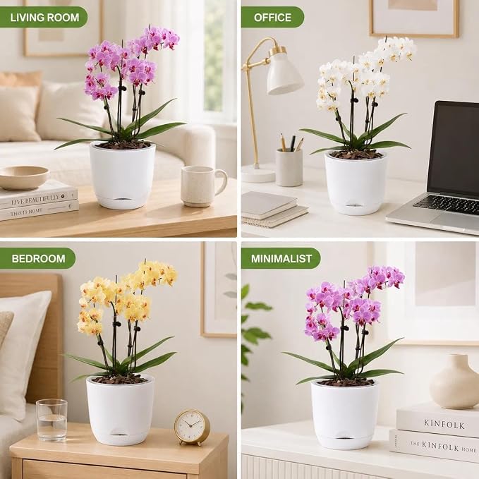 7.2Inch White Orchid Pots with Holes for Repotting, Double-Layer Plastic Self Watering Flower Pots for Indoor Plants with Drainage Holes, Clear Orchid Pot Match Decorative Orchid Container, 5 Packs