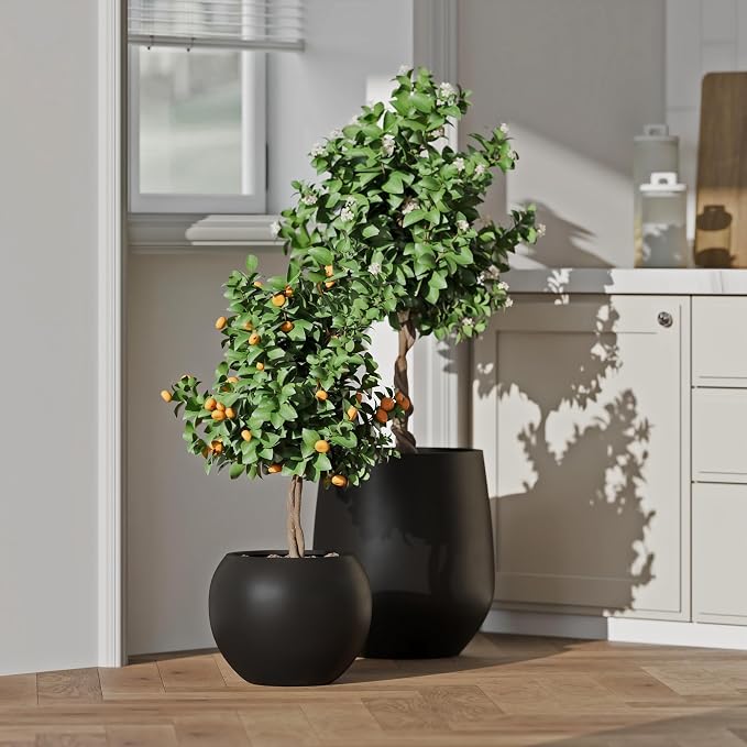 DTY Premium Mt Sherman Fiberstone Sphere Planter for Indoor Outdoor Use, Round Pot for Olive Tree, Lightweight, Smooth Finishes. 2 Extra Coco Mats. Black, Large 21.1'' D x 16.7'' H. 14.6” Pot Opening