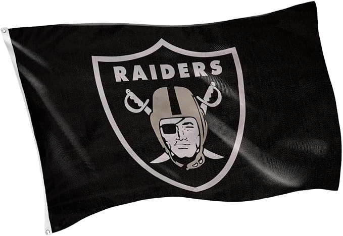 Team Sports America NFL Las Vegas Raiders 3 x 5 Outdoor Durable Flag with Grommets | Heavy Duty Flag & Banner for Outdoor Garden Patio | Indoor Wall Decor Flag | Works with Flag Poles for House