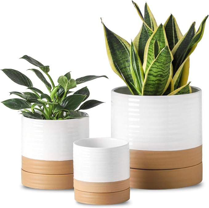 HASENSE Planters for Indoor Plants, 8+6+4.6 Inch Ceramic Plant Pots Indoors with Drainage Hole and Tray, Dual Contrast Glaze Flower Planters for Herb Snake Succulent, Set of 3, White