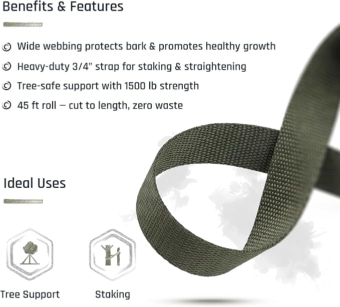 Tree Straps for Staking, Tree Ties for Plant Support, 3/4 Inch Width Guying Material Webbing Garden Strap for Outdoor Tree Straightening, 1500 Lbs Strength (Army Green) - 100 Feet