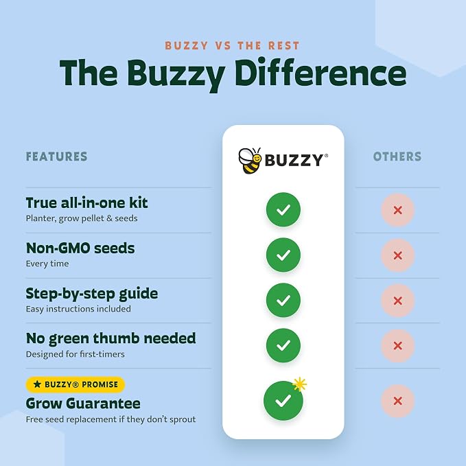 BUZZY Seeds Holiday Mini Spruce Grow Kit 12-Pack - Mini Terracotta Pot Grow Set - Complete Indoor/Outdoor Gardening Kit with Seeds, Coconut Husk Growing Medium & Genuine Pots - 100% Grow Guarantee