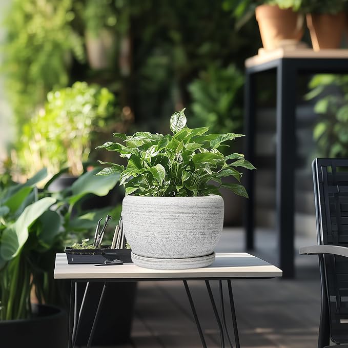 SQOWL Ceramic Plant Pots - 8 inch Planter for Indoor Plants, Round Flower Pot with Drainage Hole and Plant Saucer, Modern Decorative Ceramic Planter Outdoor, Home Room Decor, Garden Gifts, Gray