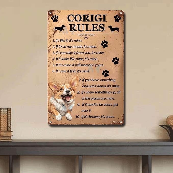 Metal Sign Tin Sign Vintage Wall Art Corigi Rules Kitty Decor for Room 8×12 Inches